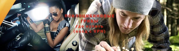 шишки Богородицк