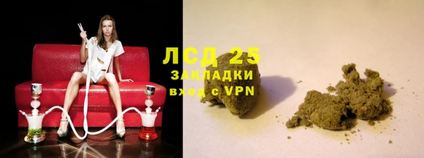 шишки Богородицк