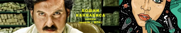 шишки Богородицк