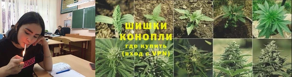 шишки Богородицк
