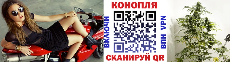 Бошки Шишки OG Kush  Купить закладки  Жиздра 